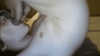Self suck a long hard boy cock